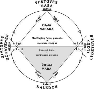 Rėdos ratas pagal A. Žarskų